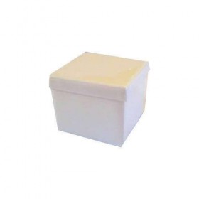 Caixinha de acrilico 4x4 - Kit c/ 10 pçs Branca